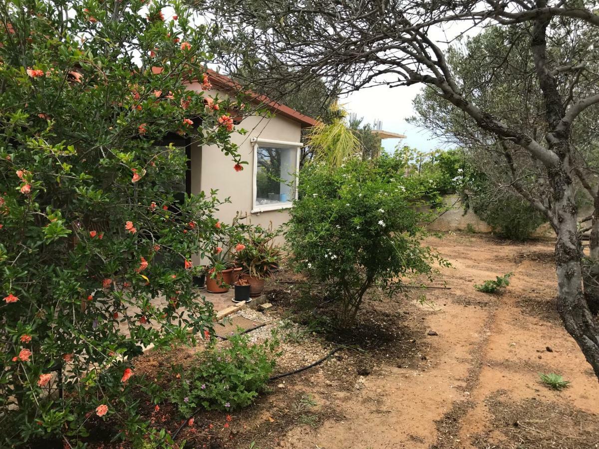 Anni House In Stavros Villa Dış mekan fotoğraf